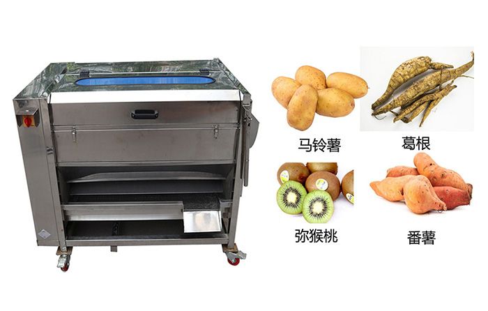 小型毛刷清洗去皮機(jī)
